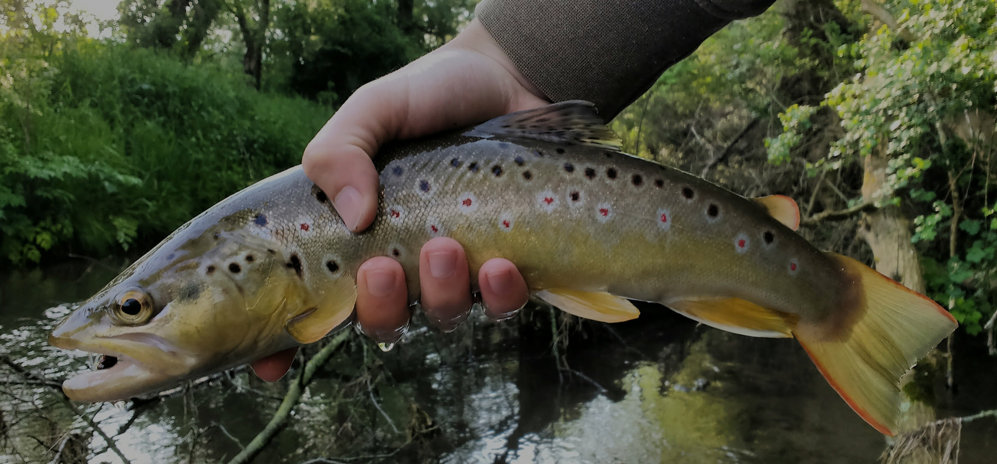 Want To Start Fly Fishing For Trout? Step 1: Forget (Almost