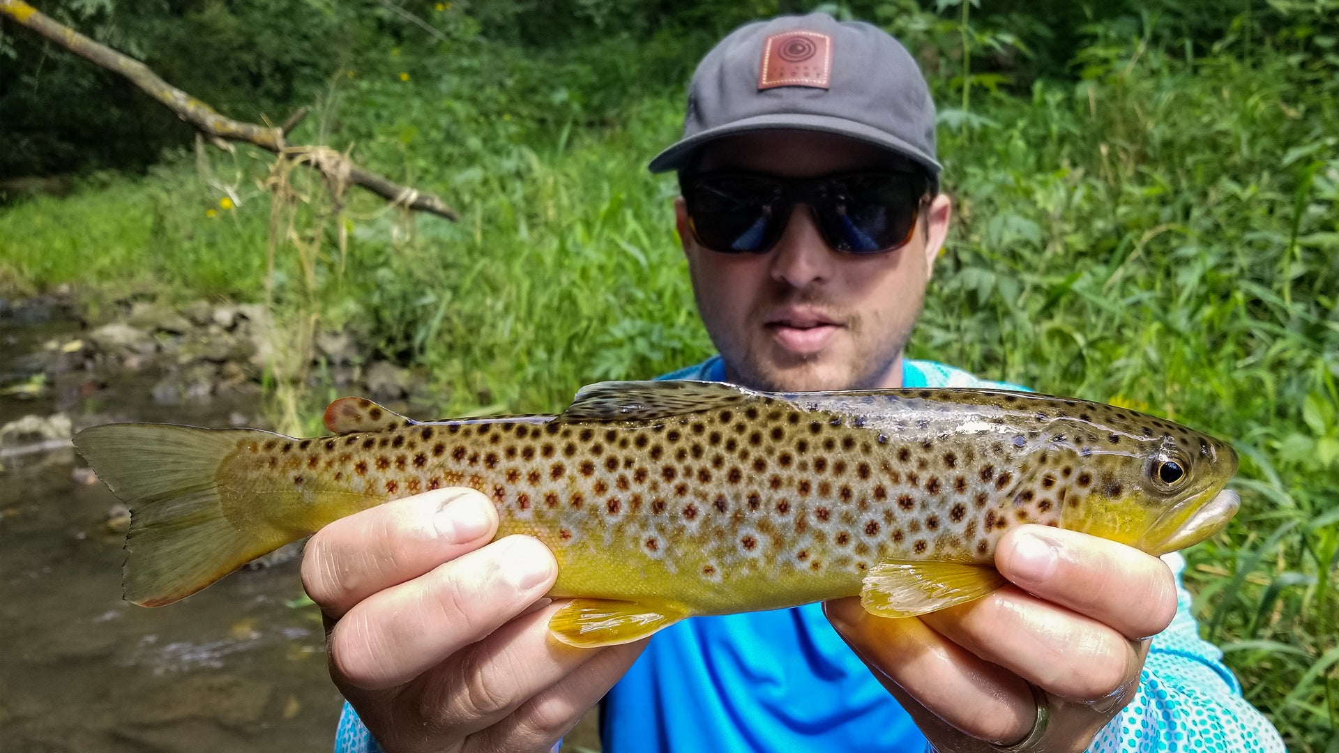 Wading A Rocky Creek To Find Aggressive Browns | THE DRIP [Ep. 3]
