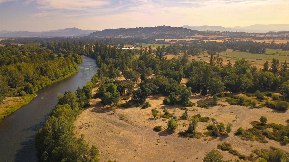 Going Rogue For Western Trout | THE DRIP [Ep. 4]